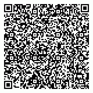 vCard 79517353873