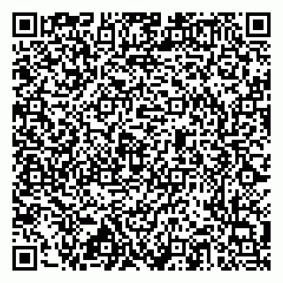 vCard 79517353889