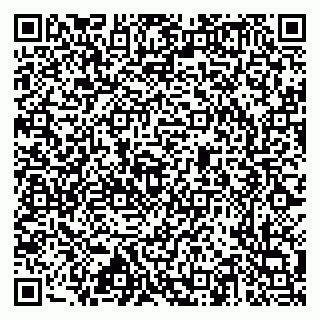 vCard 79517353894