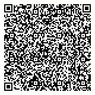 vCard 79517353979