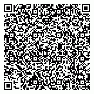vCard 79517353981