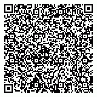 vCard 79517353984