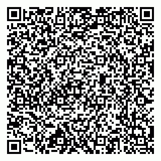 vCard 79517353985