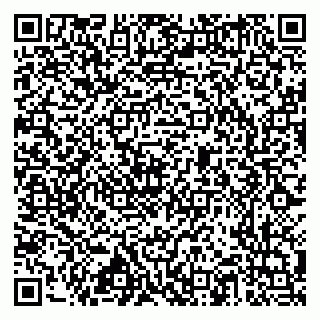 vCard 79517353987