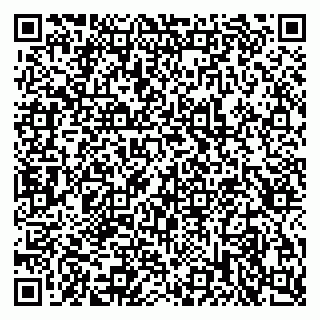 vCard 79517355881