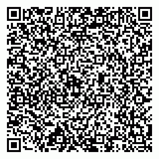 vCard 79517448131