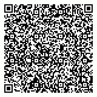 vCard 79517448381