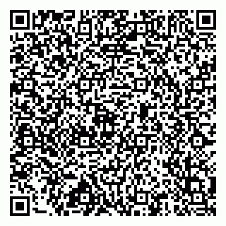 vCard 79517451264