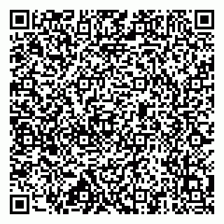 vCard 79517451273
