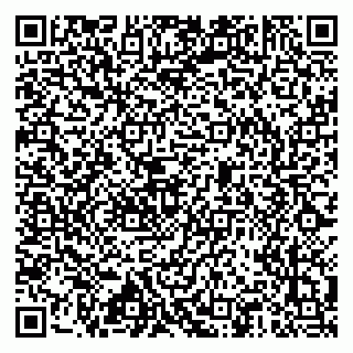 vCard 79517451309