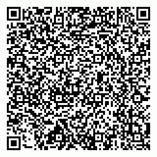 vCard 79517451317