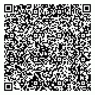 vCard 79517451319