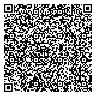 vCard 79517451327