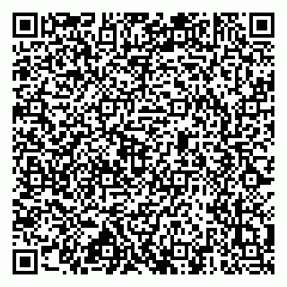 vCard 79517451331