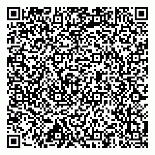 vCard 79517451381