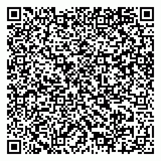 vCard 79517451385