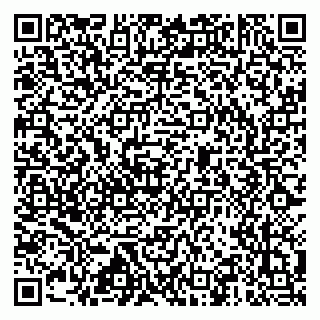 vCard 79517451391