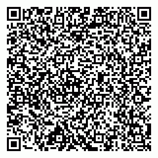 vCard 79517451411