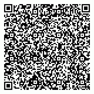 vCard 79517451538