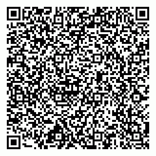 vCard 79517451584