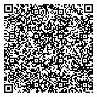 vCard 79517699032