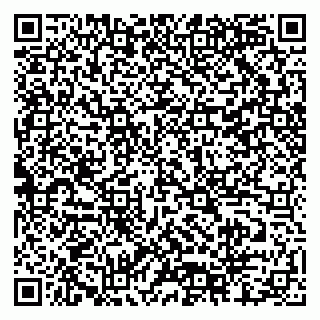 vCard 79518500015
