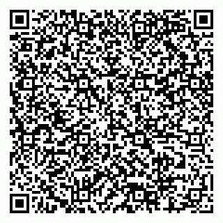 vCard 79518500019