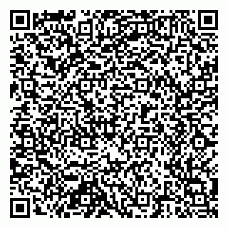vCard 79518500039