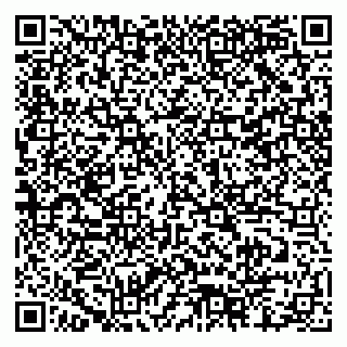 vCard 79518500041