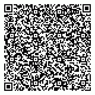 vCard 79518500080
