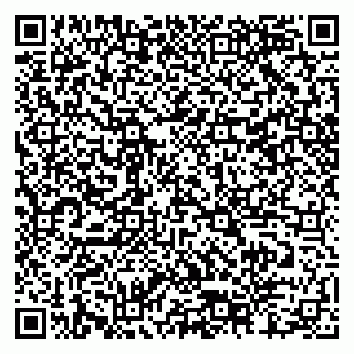 vCard 79518500085