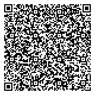vCard 79518500093