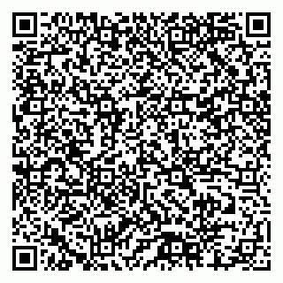 vCard 79518500101