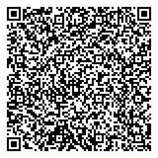 vCard 79518500129