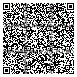 vCard 79518500131