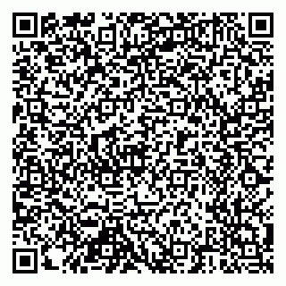 vCard 79518500132