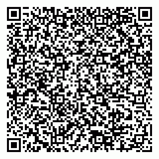 vCard 79518500174