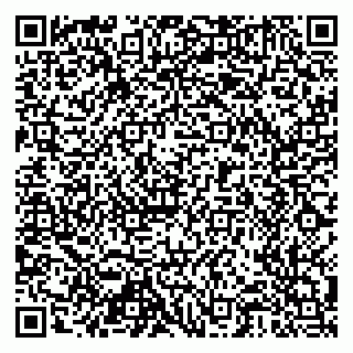 vCard 79518500180