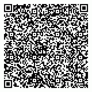 vCard 79518500181