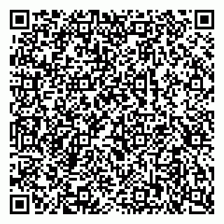 vCard 79518500211