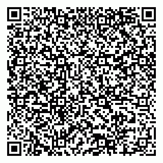 vCard 79518500281