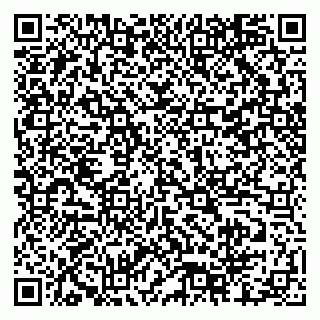 vCard 79518500310