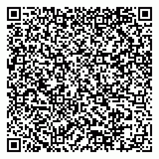 vCard 79518500313