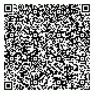 vCard 79518500334