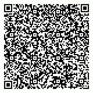 vCard 79518500338