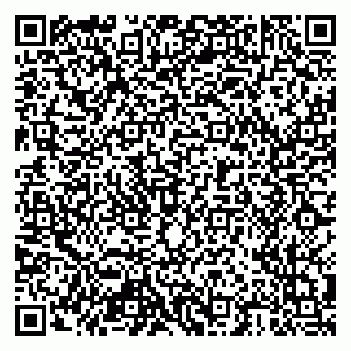 vCard 79518500371