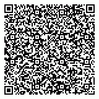 vCard 79518500384