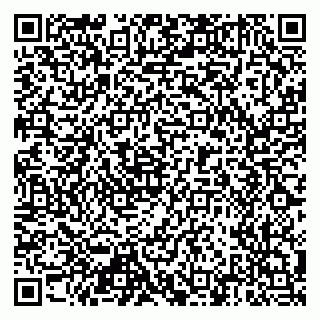 vCard 79518564132