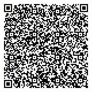 vCard 79518565131