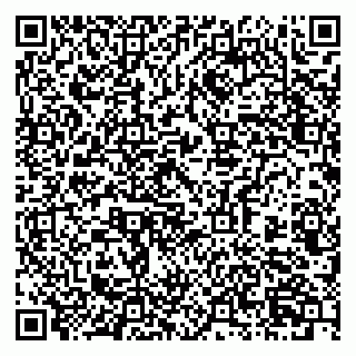 vCard 79518568173